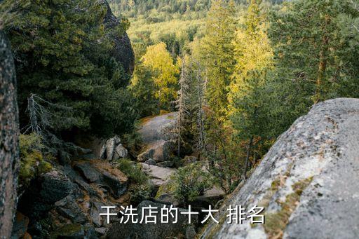  干洗店的十大 排名