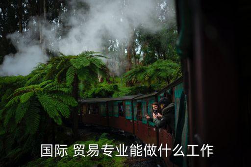  国际 贸易专业能做什么工作
