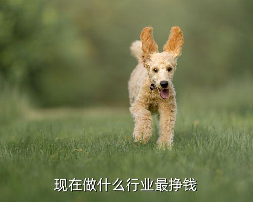 最赚钱的行业,火锅不会被淘汰高薪厨师永远是你首选