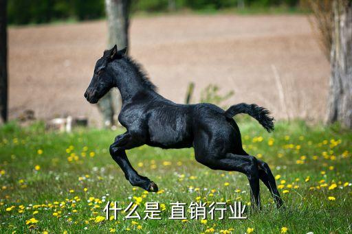 什么是 直销行业