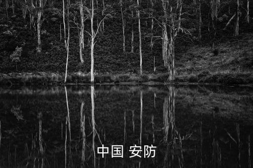 中国 安防