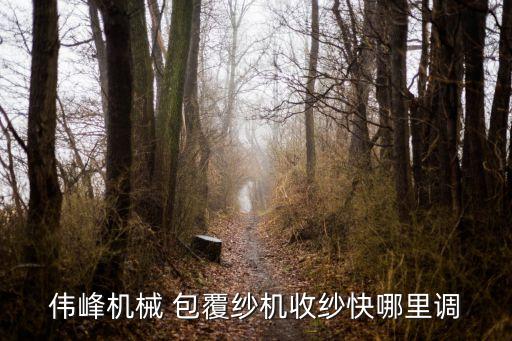 伟峰机械 包覆纱机收纱快哪里调
