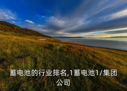 骆驼蓄电池的行业排名,-1蓄电池-1/集团公司