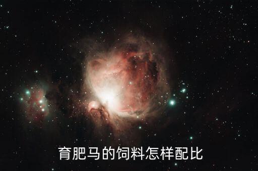 育肥马行业,延长国际马匹交易市场将提供最大媒体报道