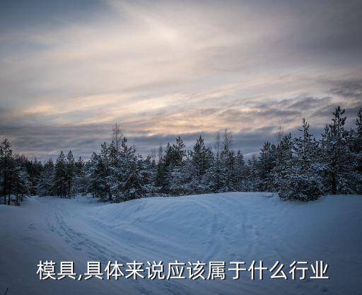 模具行业,本专业毕业生可在机械制造业从事模具制造工作