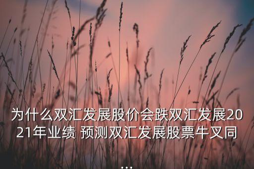 为什么双汇发展股价会跌双汇发展2021年业绩 预测双汇发展股票牛叉同...