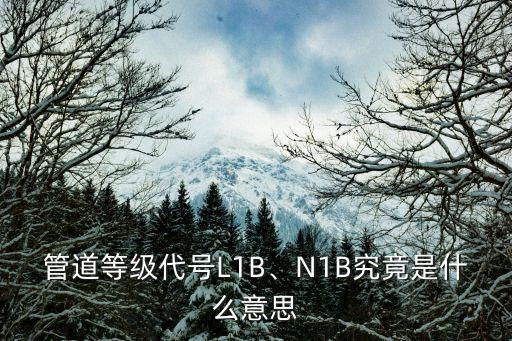 管道等级代号L1B、N1B究竟是什么意思