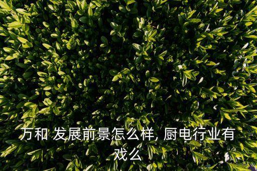万和 发展前景怎么样, 厨电行业有戏么