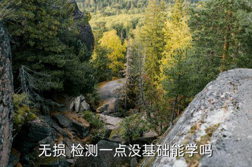 无损 检测一点没基础能学吗