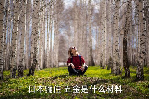  日本骊住 五金是什么材料