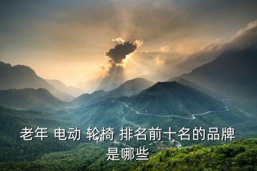 老年 电动 轮椅 排名前十名的品牌是哪些