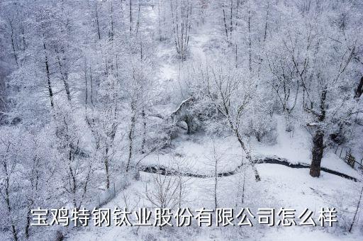  宝鸡特钢钛业股份有限公司怎么样