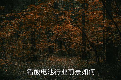  铅酸电池行业前景如何