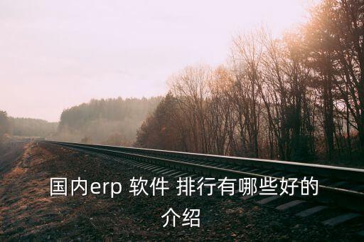  国内erp 软件 排行有哪些好的介绍