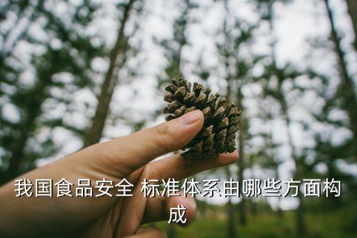 我国食品安全 标准体系由哪些方面构成