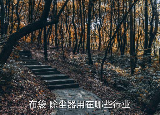 除尘器所需行业,河北万杰除尘袋除尘器工作原理是过滤烟气