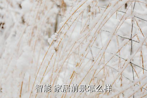 现在的家居行业怎么样,中国智能家居行业发展现状及前景分析