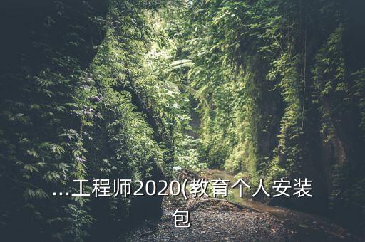 ...工程师2020(教育个人安装包