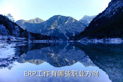 ERP工作有哪些职业方向