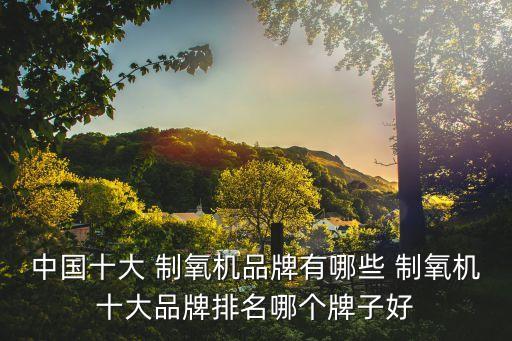 中国十大 制氧机品牌有哪些 制氧机十大品牌排名哪个牌子好