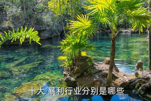 十大行业暴利,十大网络暴利行业包括互联网金融等