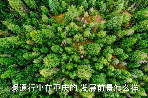  暖通行业在重庆的 发展前景怎么样
