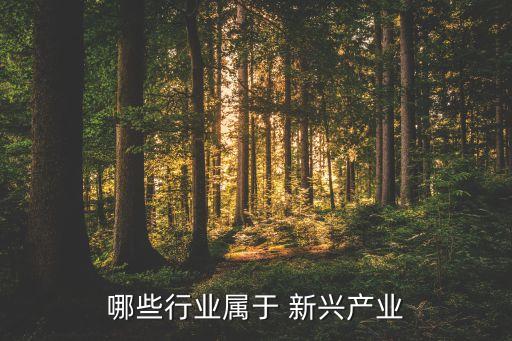 哪些行业属于 新兴产业