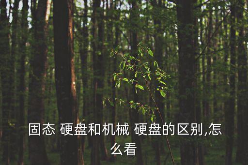  固态 硬盘和机械 硬盘的区别,怎么看