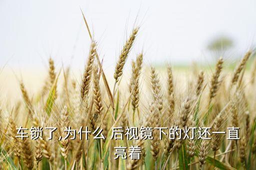 车锁了,为什么 后视镜下的灯还一直亮着