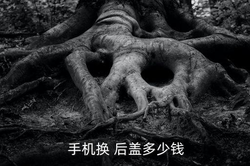手机陶瓷后盖行业市场,小米陶瓷后盖怎么买?