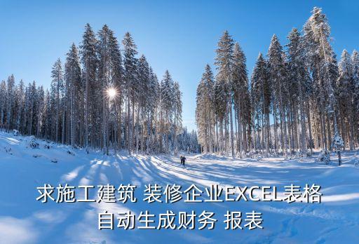 求施工建筑 装修企业EXCEL表格自动生成财务 报表