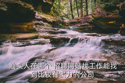  汕头人在哪个 招聘网站找工作能找到比较有实力的公司