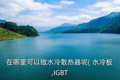 在哪里可以做水冷散热器呢( 水冷板,IGBT