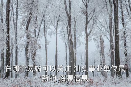 在哪个网站可以关注 汕头事业单位最新的 招聘信息