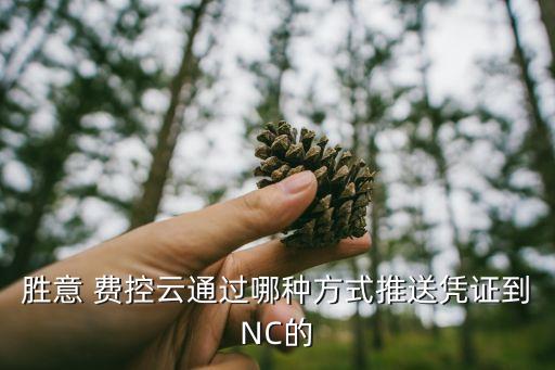 费控行业证书,付款用nc比报销简单提供转让证明