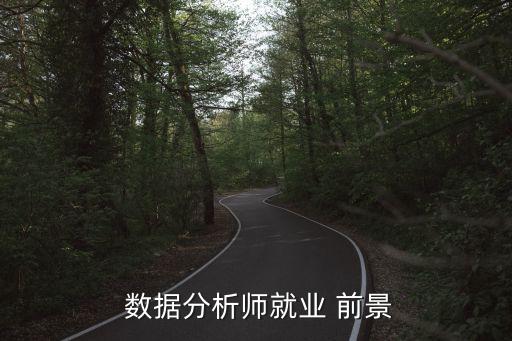 数据咨询行业前景,大数据分析师前景广阔就业面很广