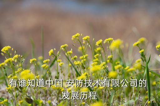 有谁知道中国 安防技术有限公司的 发展历程