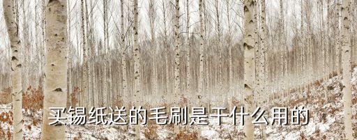 买锡纸送的毛刷是干什么用的