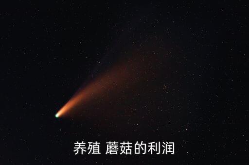 养殖 蘑菇的利润