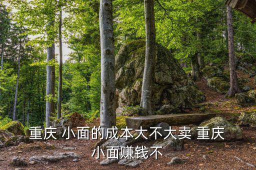  重庆 小面的成本大不大卖 重庆 小面赚钱不