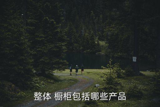 整体 橱柜包括哪些产品