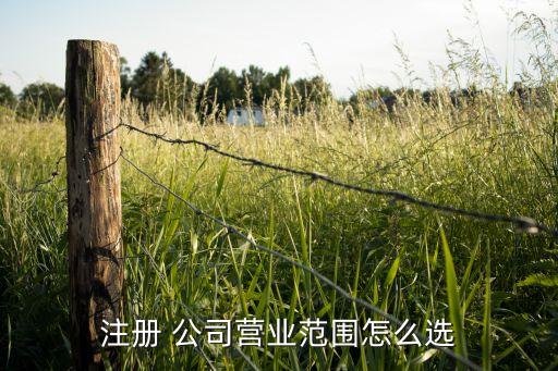 申请公司 行业,选择适合自己的行业投资者可从三大类别中选择