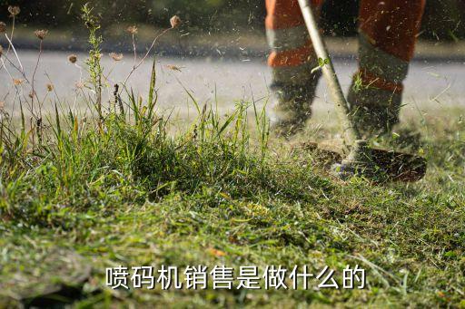  喷码机销售是做什么的