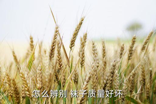 怎么辨别 袜子质量好坏