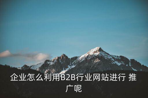 企业怎么利用B2B行业网站进行 推广呢