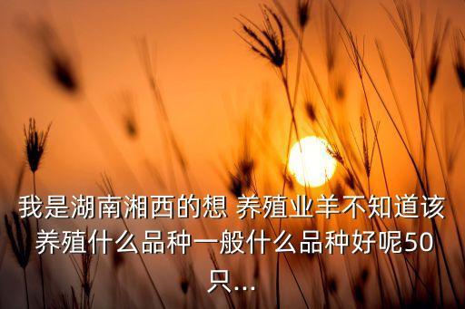 我是湖南湘西的想 养殖业羊不知道该 养殖什么品种一般什么品种好呢50只...