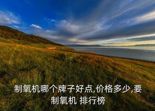  制氧机哪个牌子好点,价格多少,要 制氧机 排行榜