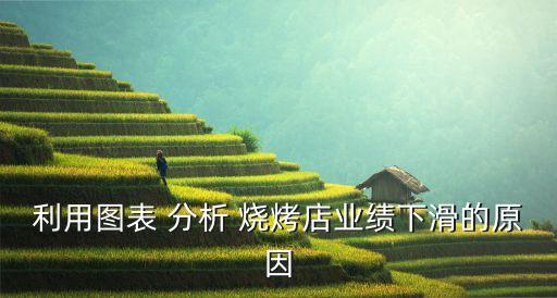 利用图表 分析 烧烤店业绩下滑的原因