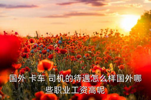 国外 卡车 司机的待遇怎么样国外哪些职业工资高呢