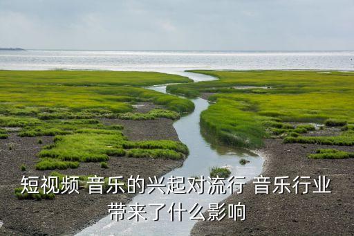 短视频 音乐的兴起对流行 音乐行业带来了什么影响